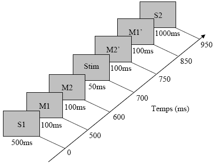 Figure 9.2 :Séquence temporelle des stimuli. 