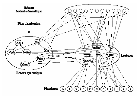 Figure 5.7 : Représentation schématique du réseau indépendant (d’après Caramazza, 1977).