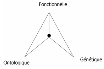 Figure 23 : Triangle systémique