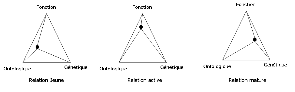 Figure 24 : Evolution de la maturité de la relation