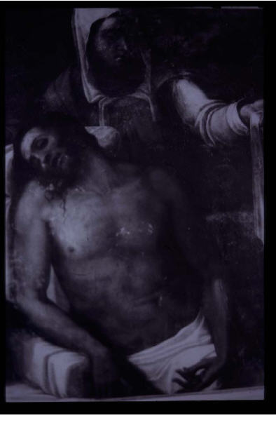Figure 69 : LUCIANI (Sebastiano del Piombo) 